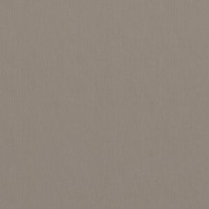 Διαχωριστικό Βεράντας Taupe 120 x 300 εκ. Ύφασμα Oxford