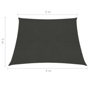 311104  Sunshade Sail 160 g/m² Anthracite 3/4x3 m HDPE