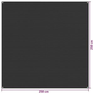 Χαλί Σκηνής Ανθρακί 250 x 250 εκ. από HDPE