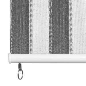 312692  Outdoor Roller Blind 60x230 cm Anthracite and White Stripe