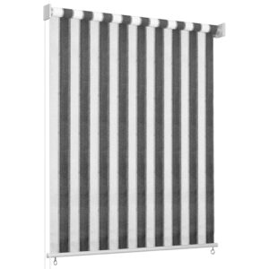 312692  Outdoor Roller Blind 60x230 cm Anthracite and White Stripe