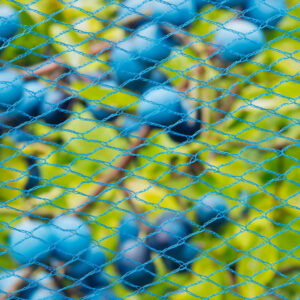 423502 Nature Bird Netting "Nano" 10x4 m Blue