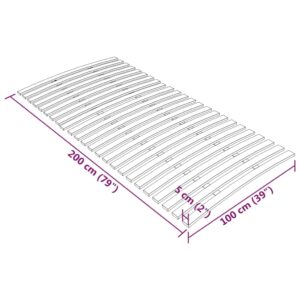 Τελάρο Κρεβατιού με 24 Σανίδες 100 x 200 εκ.